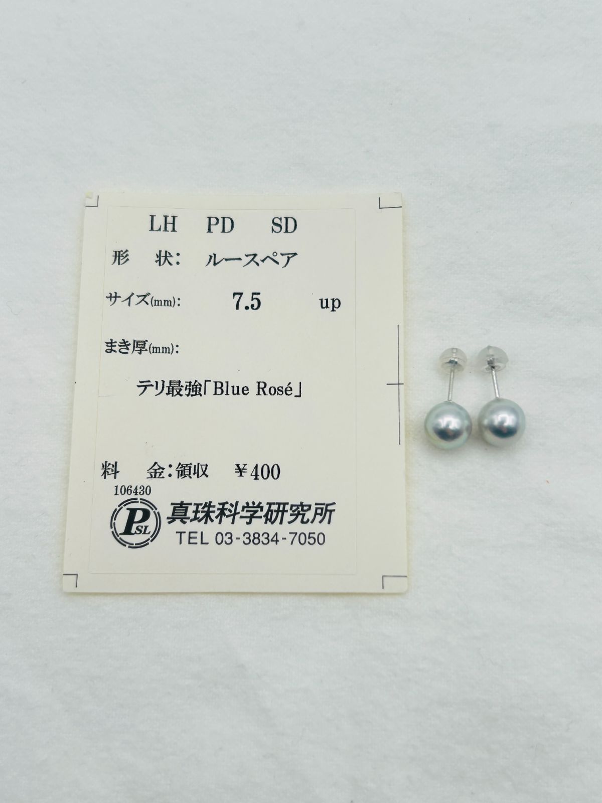 アコヤ 真珠 パール K14WGオーロラ ブルーロゼ ピアス 7.5mm BlueRose