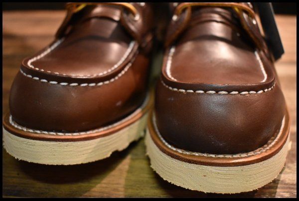 アイリッシュセッター