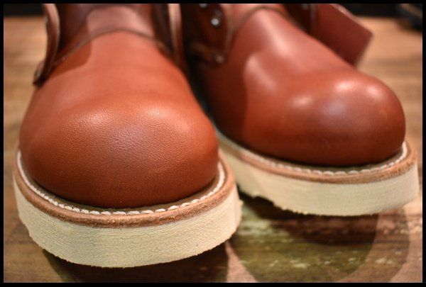 アイリッシュセッター 赤茶