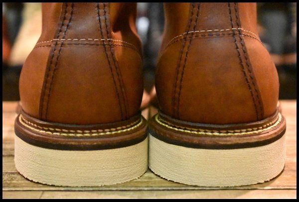 アイリッシュセッター