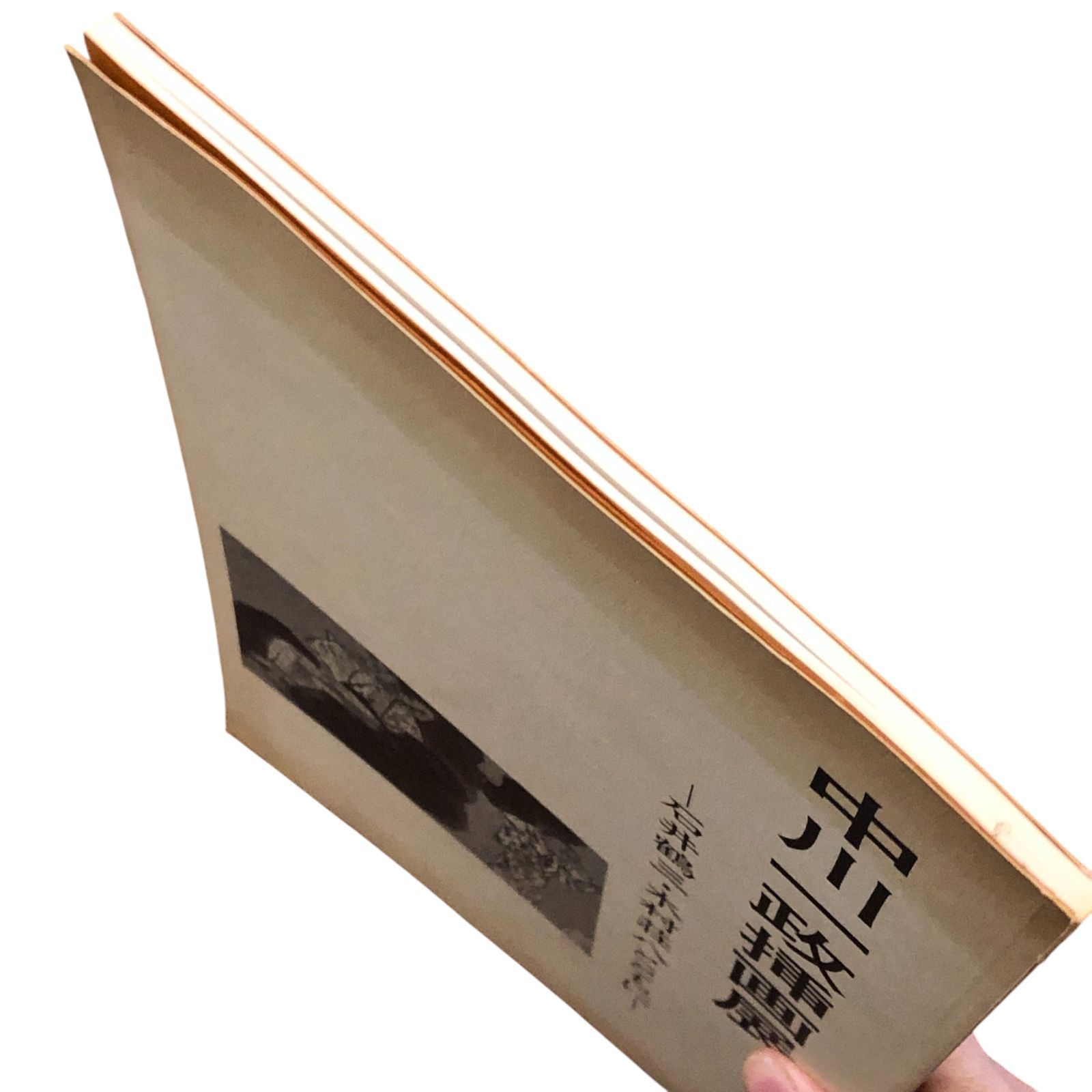 中川一政挿画展図録 開館五周年記念 真鶴町立中川一政美術館 石井鶴三