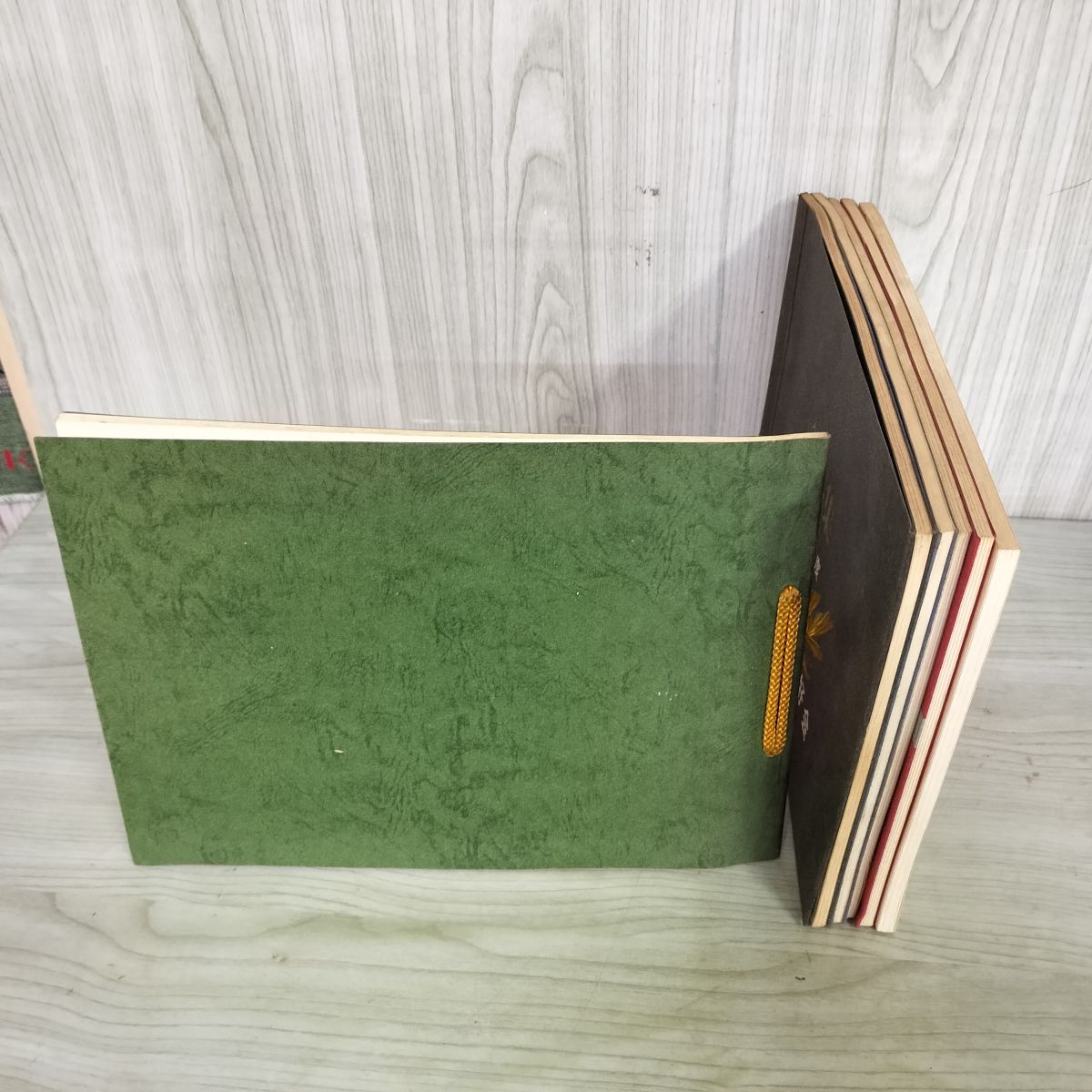 希少 新品未使用 カントク アートコレクション ROSA 版画 レゾネ 図録