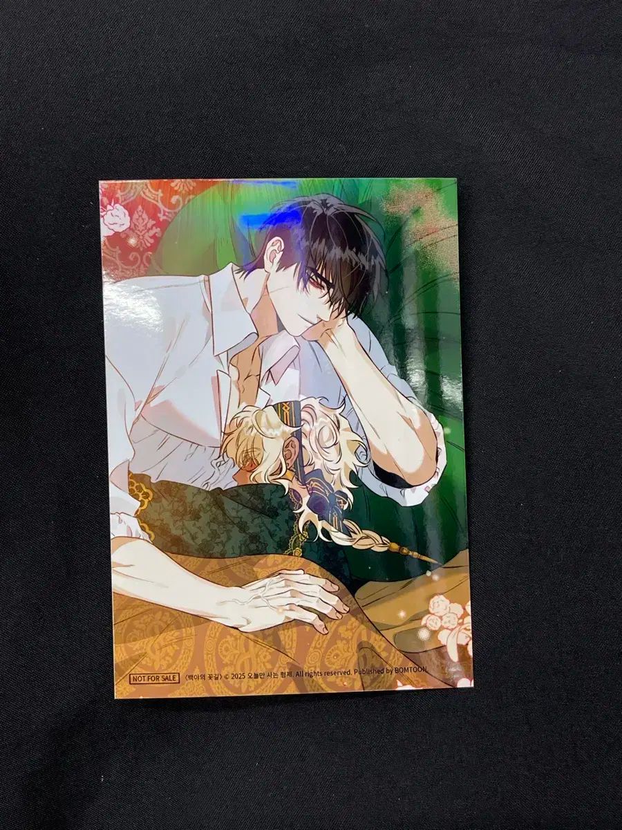 BOMTOON HOME パーティー ポップアップ プリント写真 特典 白夜の花道