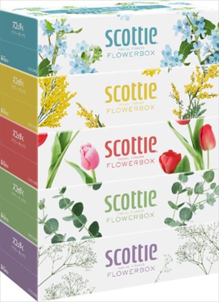 スコッティ ティシュー フラワーボックス 250組 ×5箱 セット