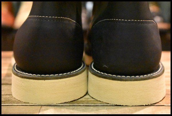 8165 アイリッシュセッター