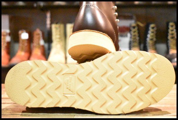 8160 アイリッシュセッター