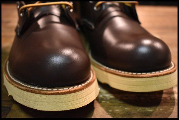 8160 アイリッシュセッター