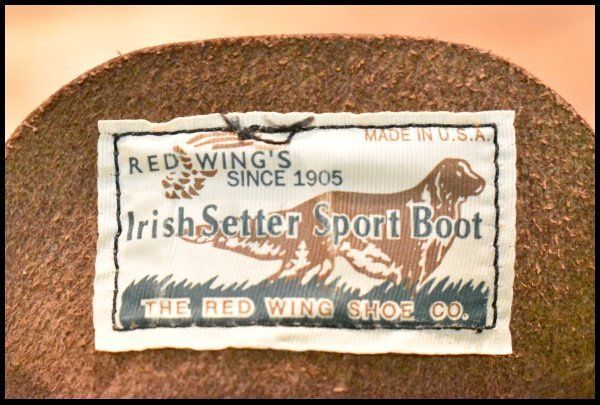 8160 アイリッシュセッター