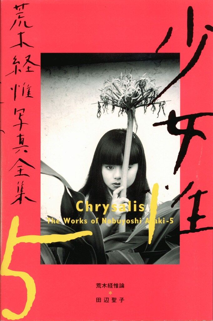 平凡社 荒木経惟写真全集 荒木経惟 少女性 5