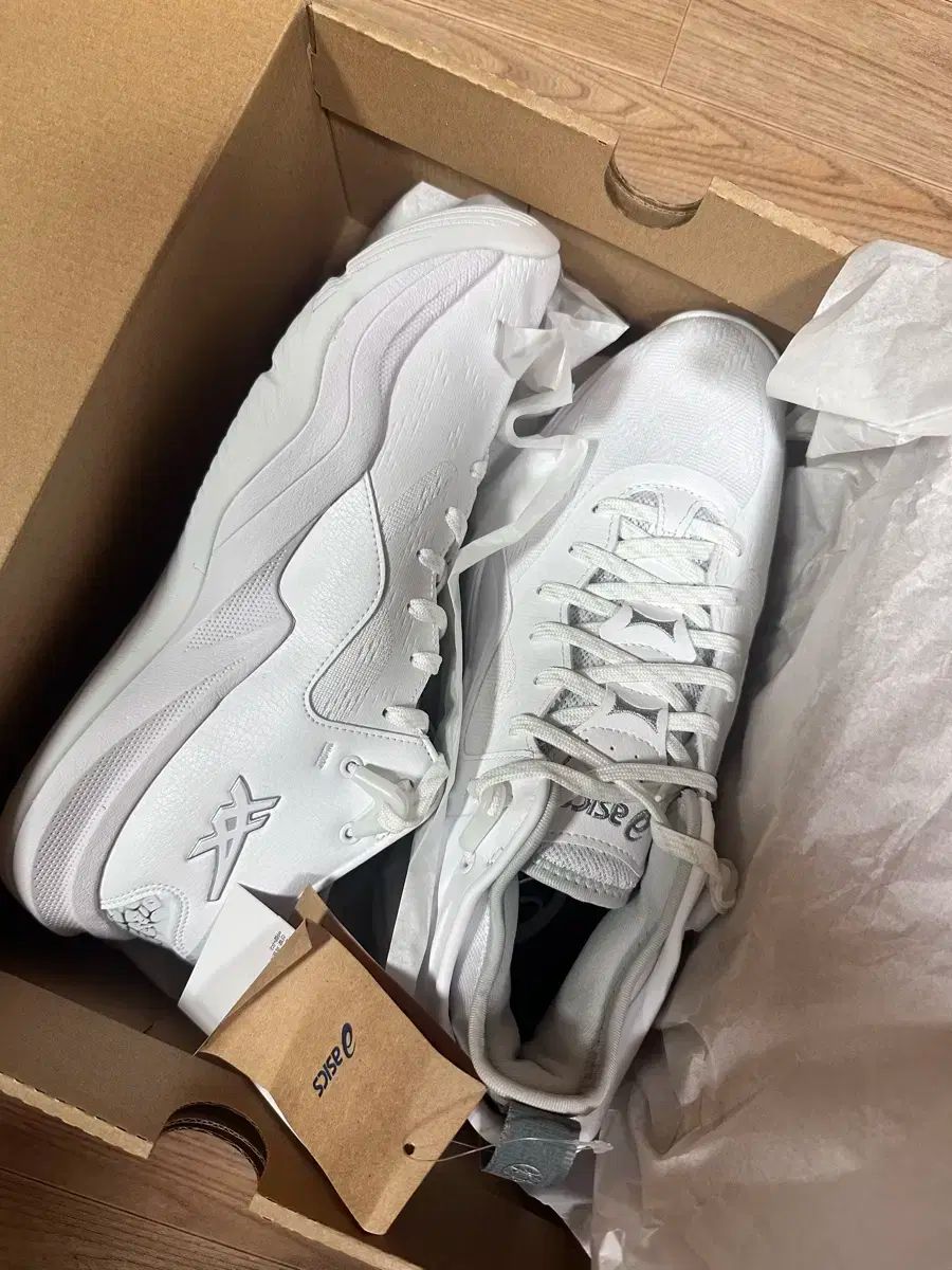 アシックス NOVA SURGE LOW 2 バレーボールシューズ