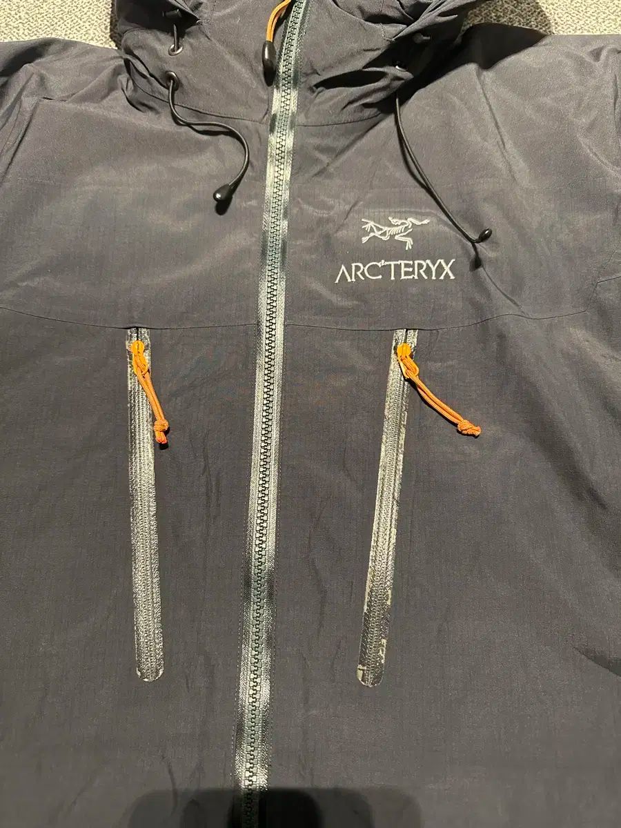 ARC TERYX アルファ SV ダウン M