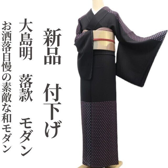 ❁tomihisa❁ 大島明 落款 モダン 着物 正絹 何かが違う お洒落自慢の素敵な和モダン 仕付け糸付 付下げ 7125