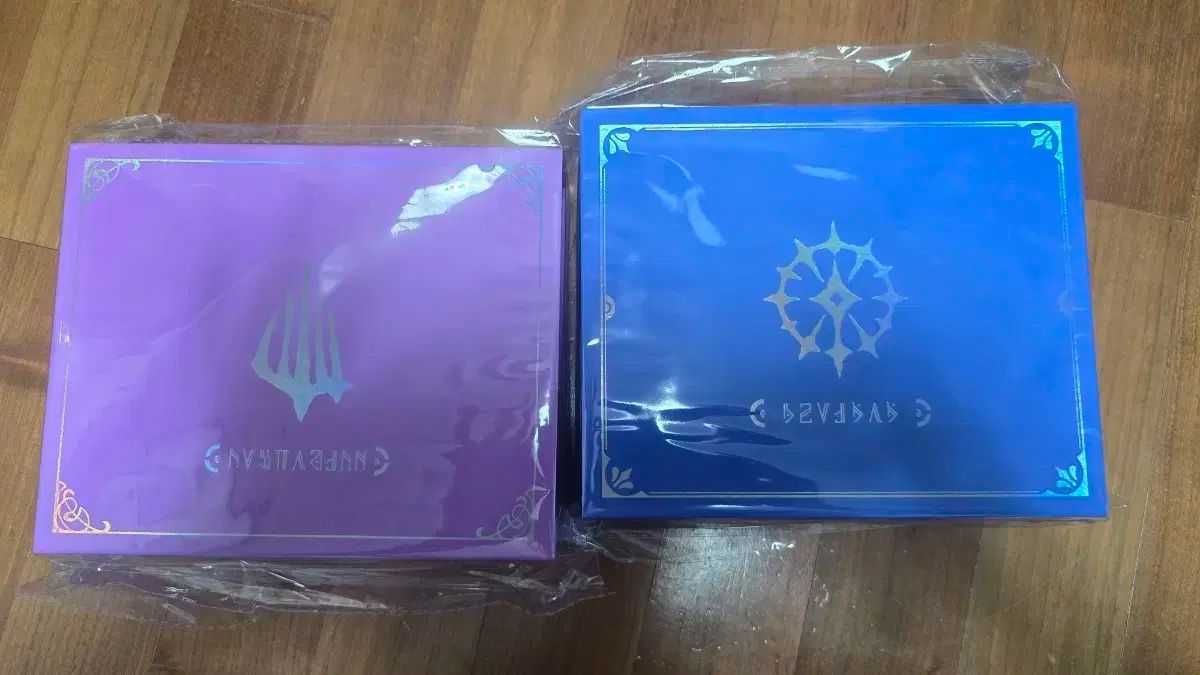 ホヨランド カストリス パイノン プレゼントセット