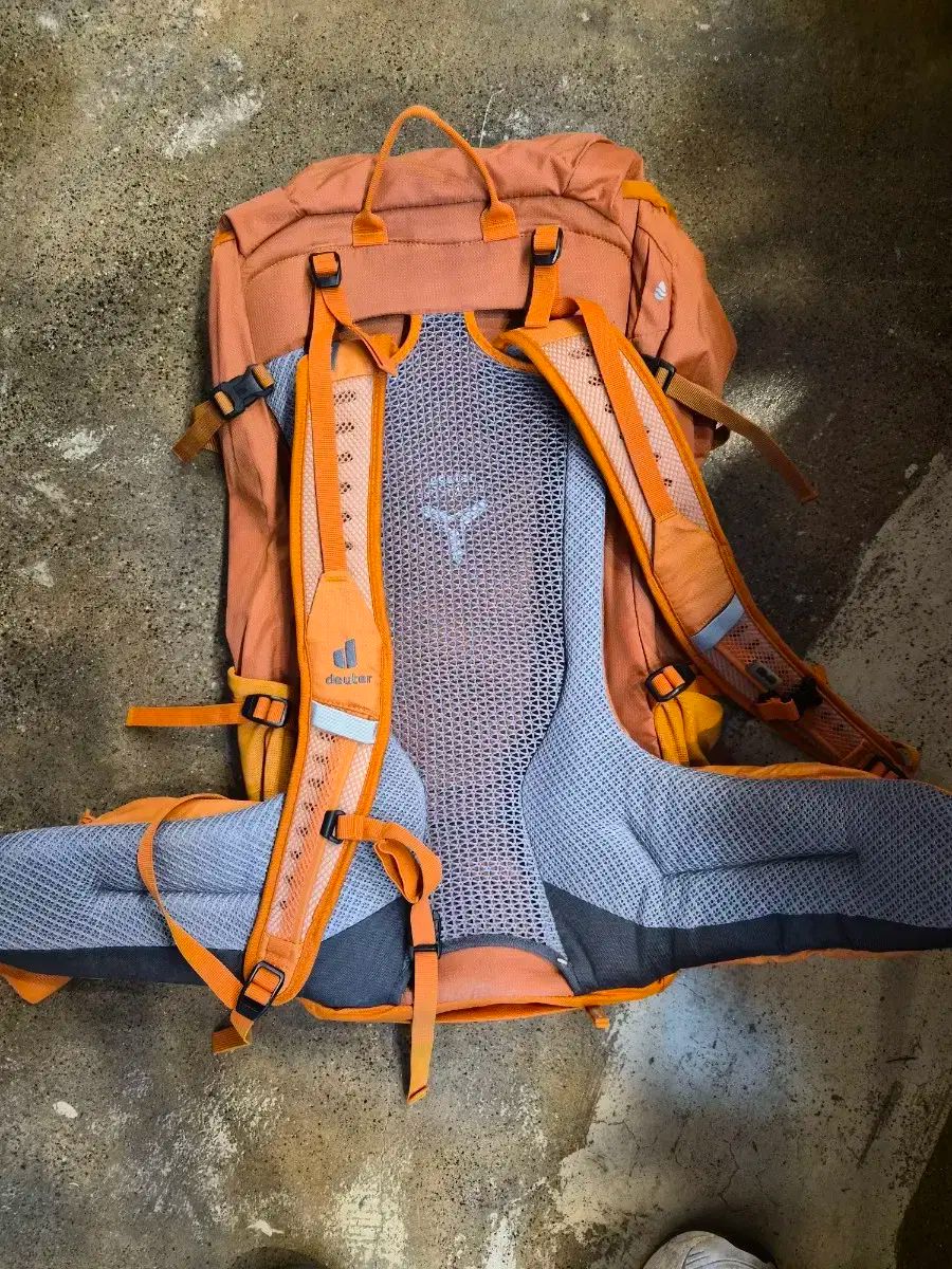 ドイター フューチュラ 32L 登山リュック