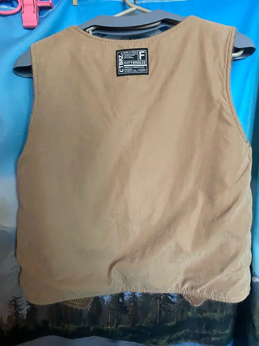 シティーブリーズ