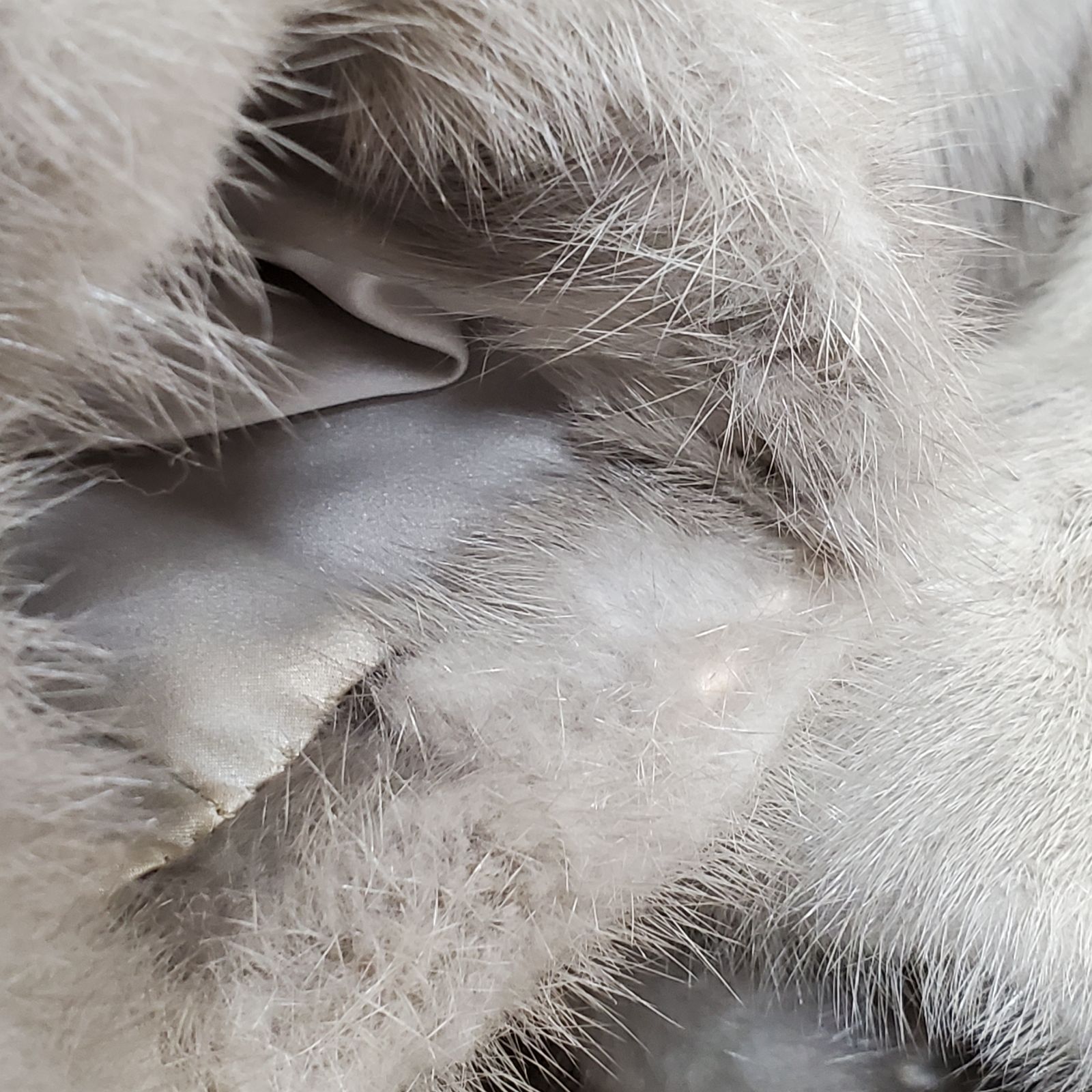 ミンクファー 毛皮