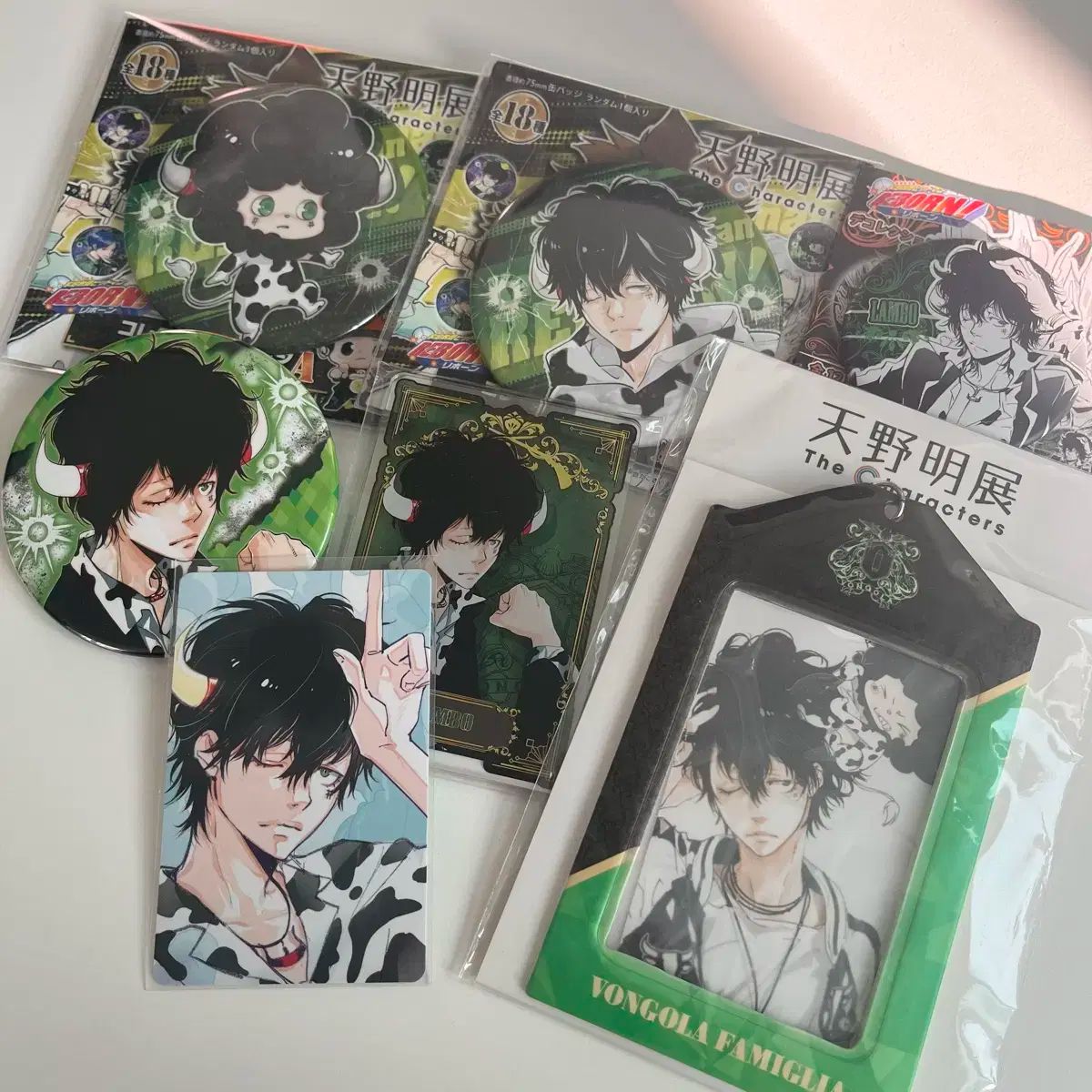 家庭教師ヒットマンREBORN! REBORN! ランボ 缶バッジ トレカ ステイタス まとめ