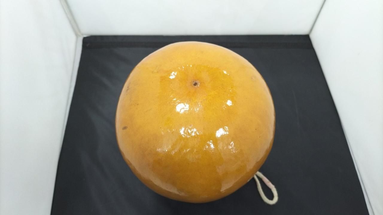  ALOHA FQBRICS HAWAII U.S.A イプ その他 フラダンス