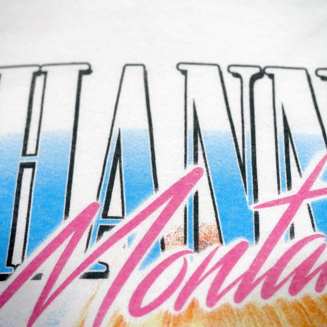 M】海外ドラマ Disney Hannah Montana ハンナモンタナ Tシャツ 