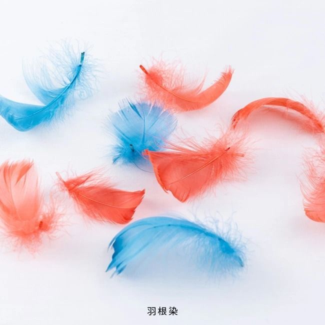 染料 染プロ マルチ 7gパック 10色 染色 綿 麻 レーヨン 天然繊維 毛 絹 化学繊維 帽子 色あせ マルチ染料 簡単 安全 タイダイ染め スニーカー染め 染め粉 エボニーブラック【ゆうパケットなら送料無料】B thumbnail 3