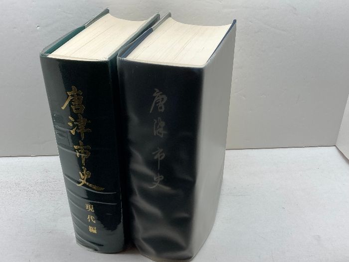 唐津市史正編 現代編 全二冊 唐津市 平成2年 3年