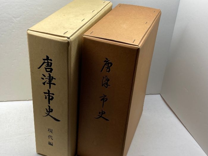唐津市史正編 現代編 全二冊 唐津市 平成2年 3年
