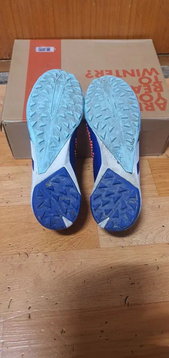 A級 プレデター