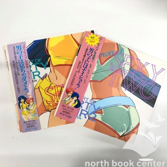 N 2冊セット SEXY TWO ダーティペア 写真集