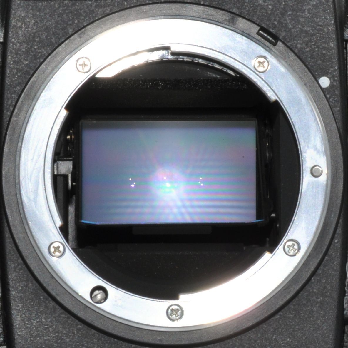 Nikon FM3A + 50mmF1.8 + 35mmF2 + 本革ケース カメラ・ヒラノ 手作り