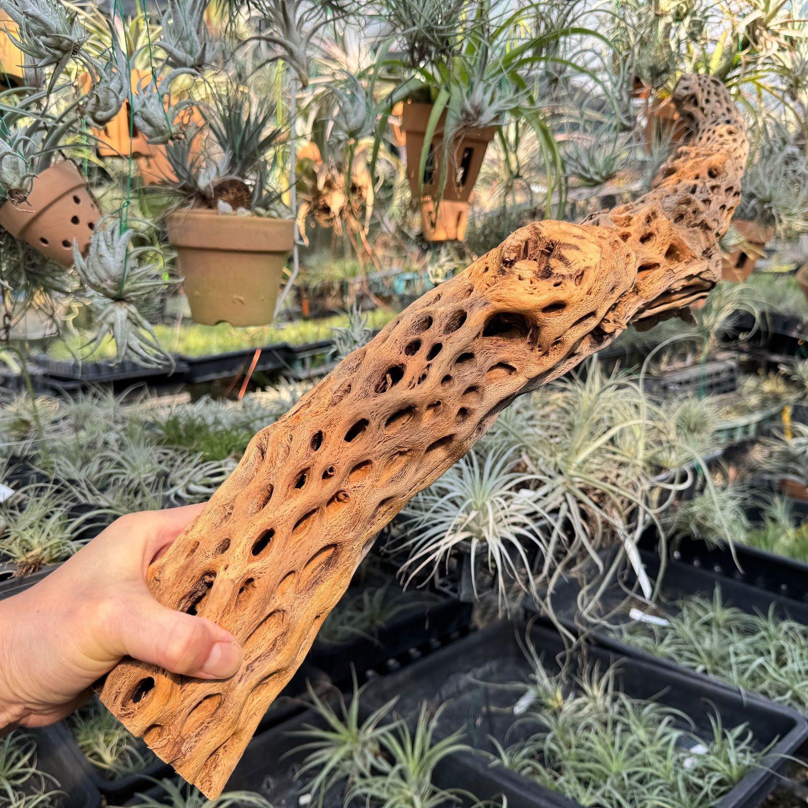 フラワーショップ江口