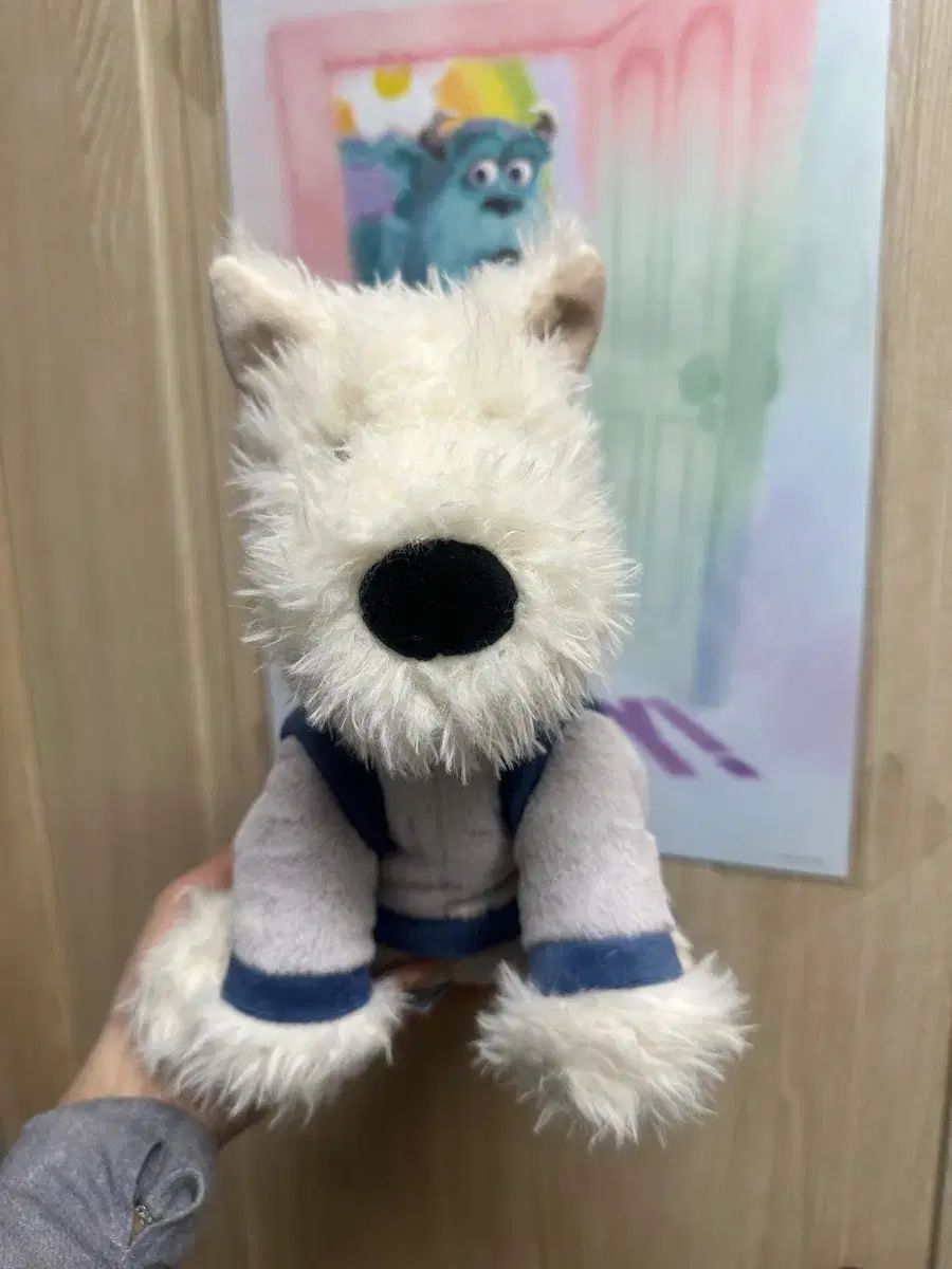 ジェリーキャット