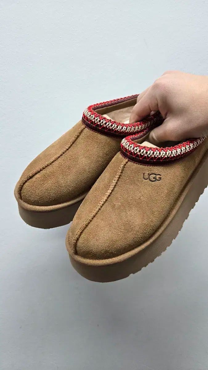 UGG レディース アグ タズ スリッパ チェスナット US 7