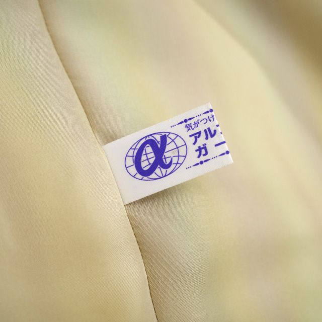 桑染色 薄黄茶色