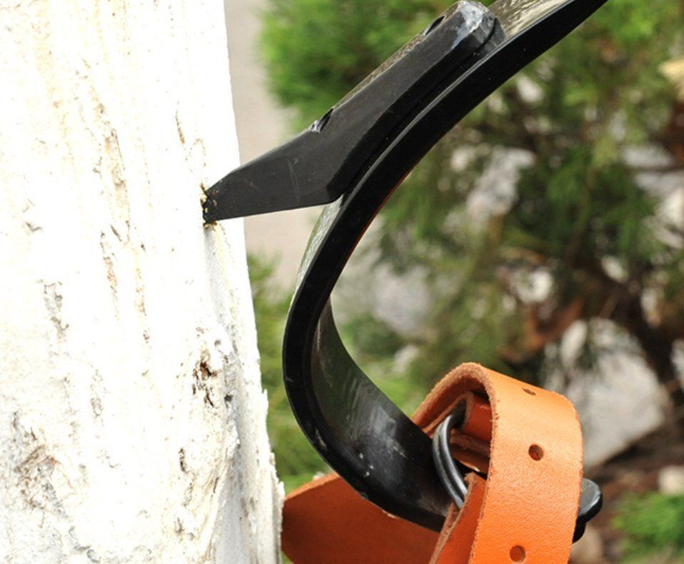 木登り器 狩猟用品 牛革です 木登り道具 伐採 道具 アーボリスト 昇柱器 ツリークライミング