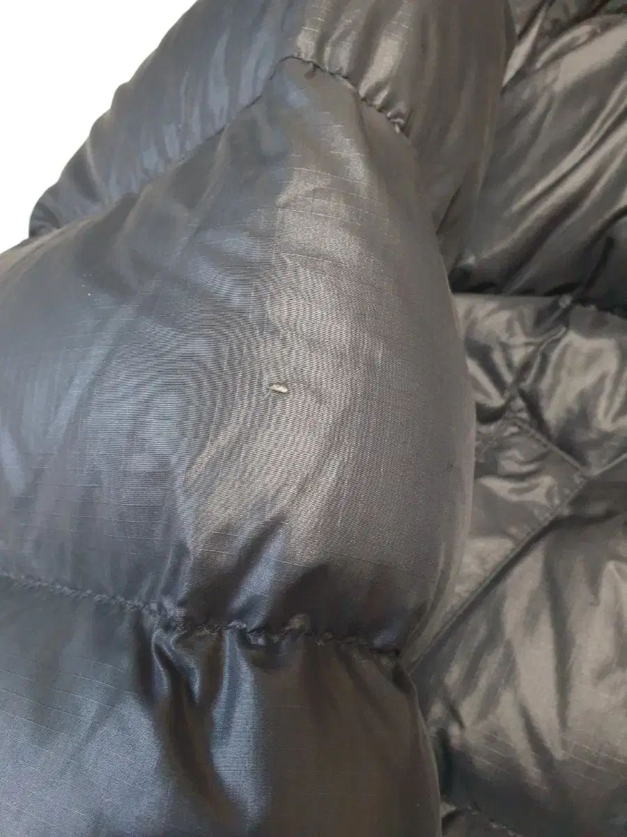 ザノースフェイス