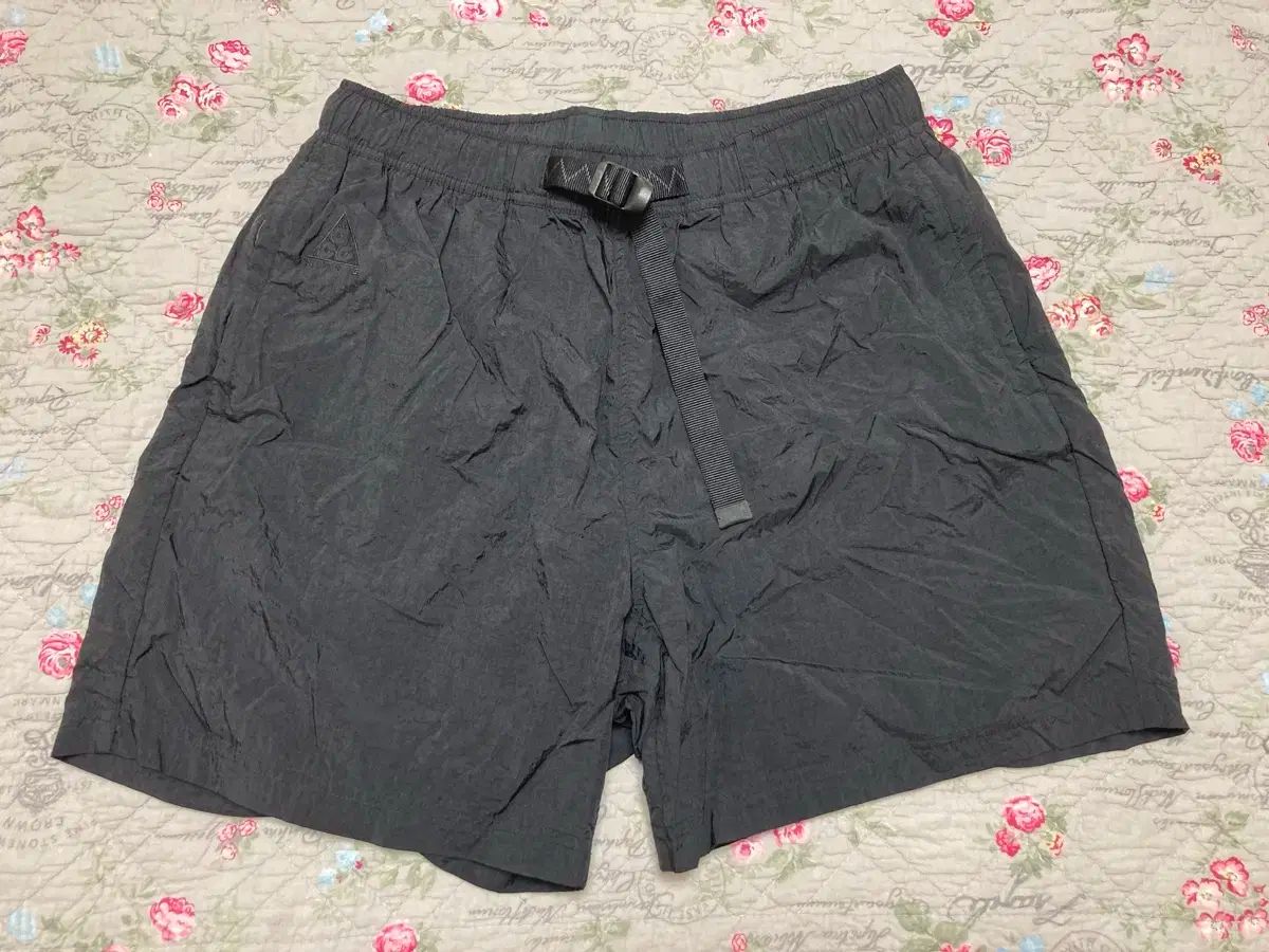 ナイキ acg ショーツ ハーフパンツ ブラック L