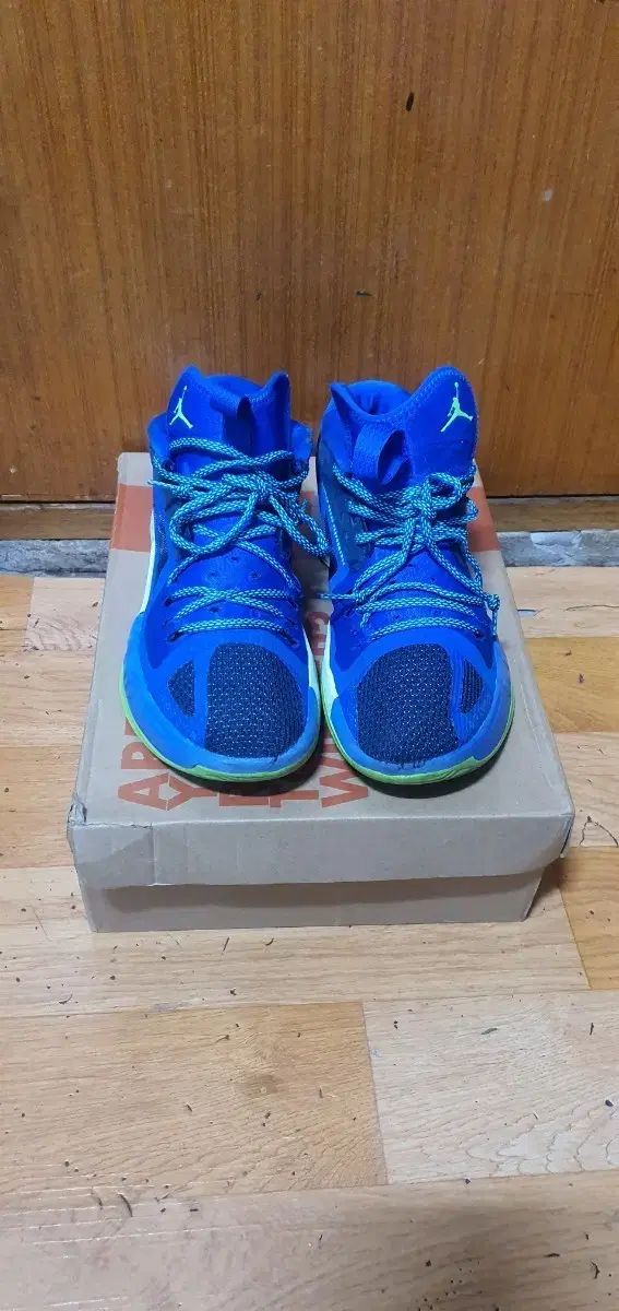 ナイキ エアジョーダン バスケシューズ 255m