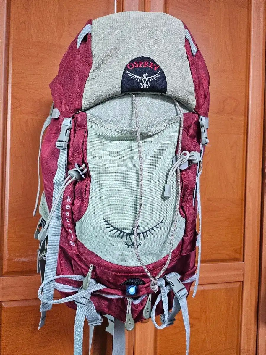 オスプレイ OSPREY Kestrel 48 登山 リュック