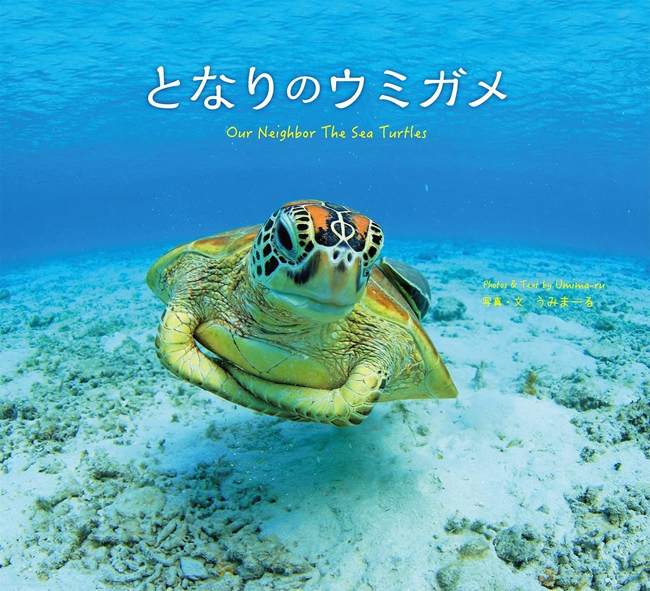 となりのウミガメ Our Neighbor The Sea Turtles うみまーる写真集