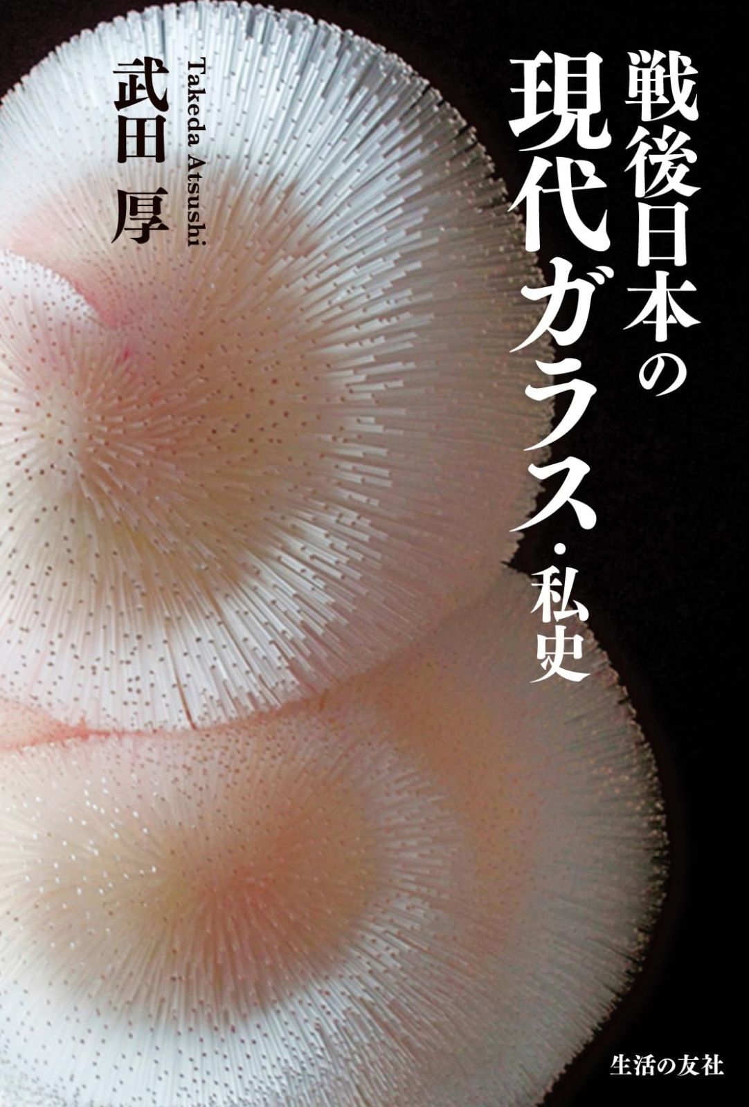 ☆ 極珍種！ 美種！ホシクサspペドラスター プランツ ホシクサ 水上育成株