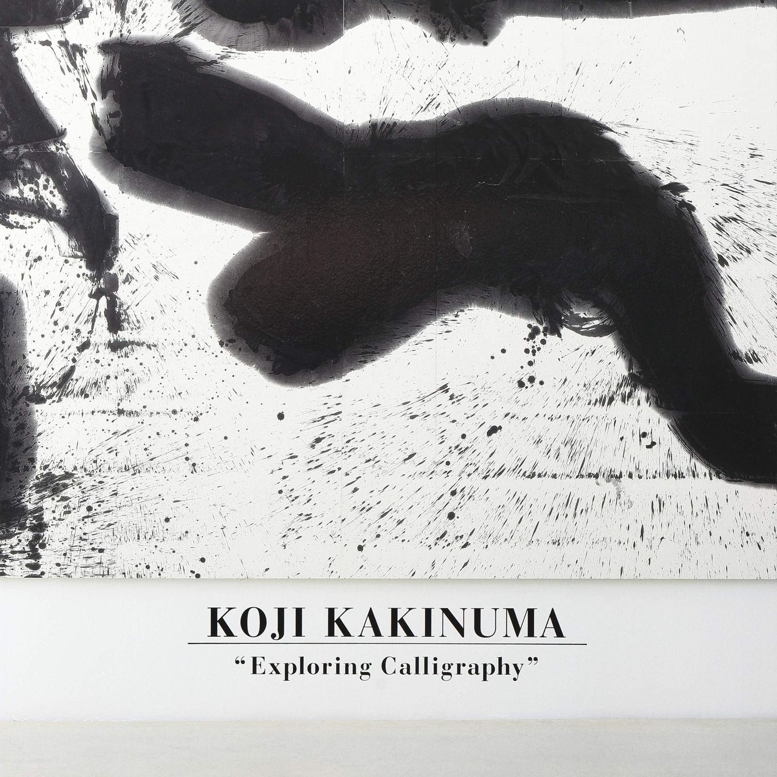 柿沼康二 書の道 ぱーっ ﾀﾞﾌﾞﾙｸｫｰﾃ Koji Kakinuma Exploring Calligraphy