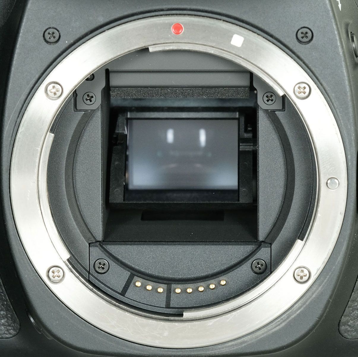 EOS 80D
