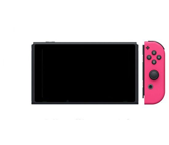 bn 5 任天堂 Nintendo Switch スプラトゥーン Joy Con L なし 元箱あり