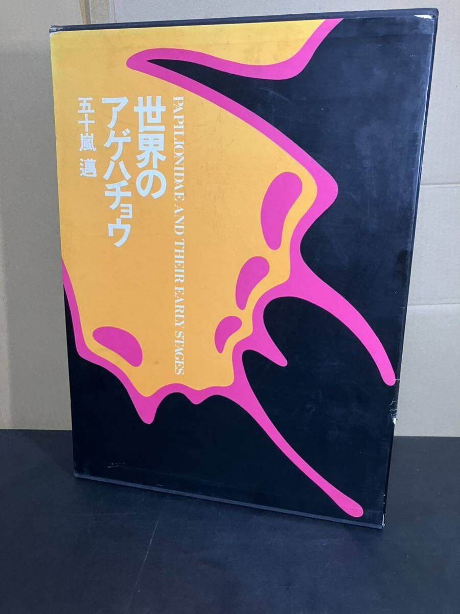 世界のアゲハチョウ 五十嵐邁 1979年 講談社
