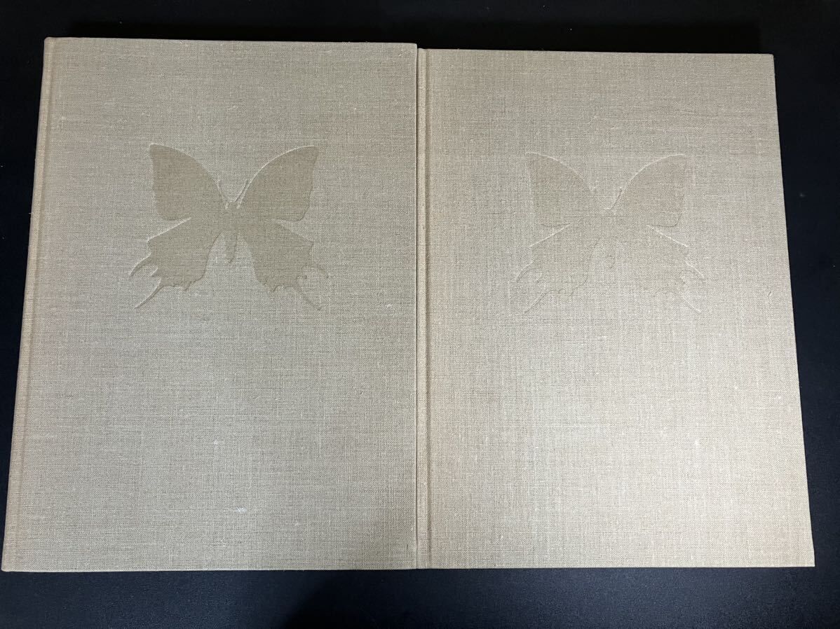 世界のアゲハチョウ