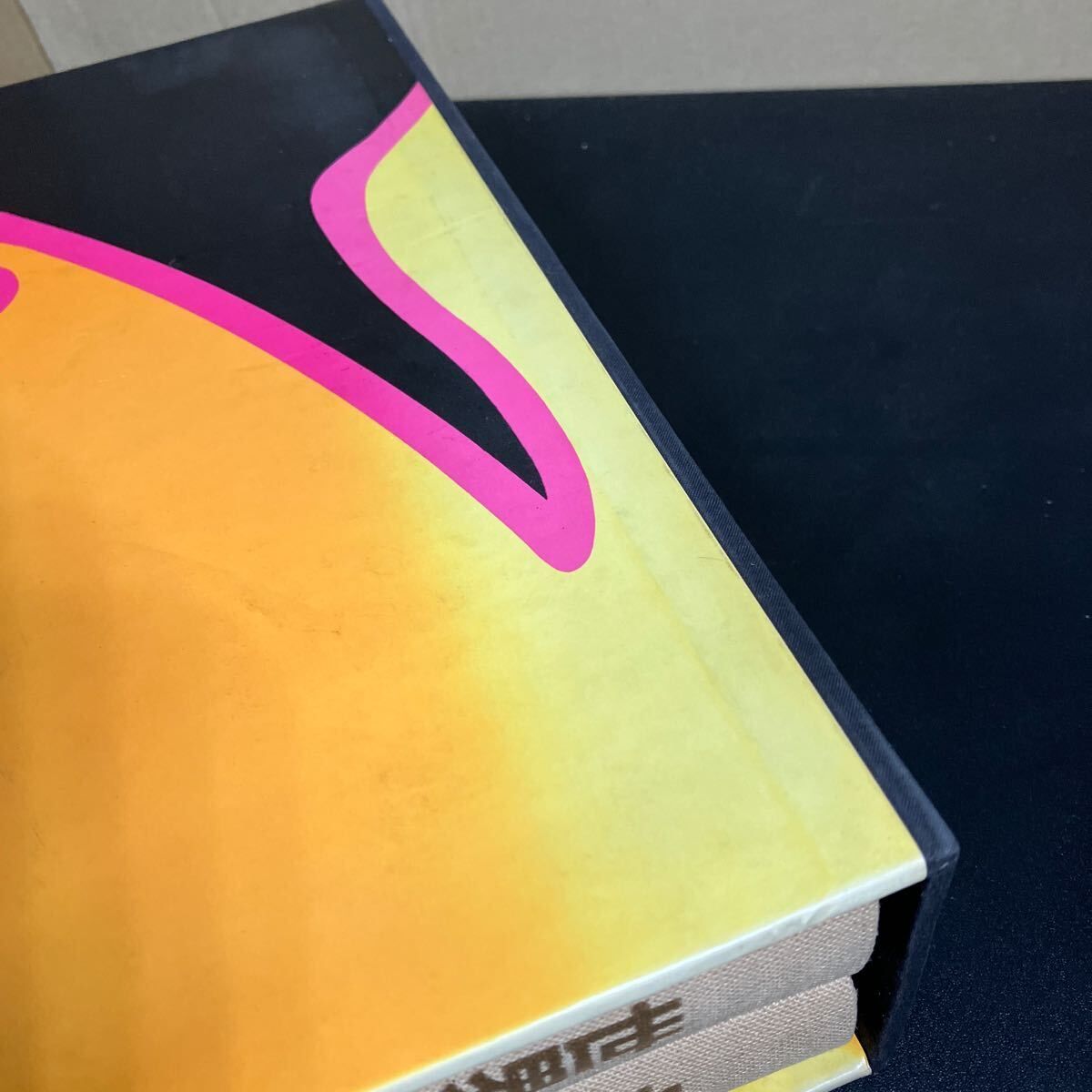  世界のアゲハチョウ 五十嵐邁 1979年 講談社 趣味 スポーツ 実用 本