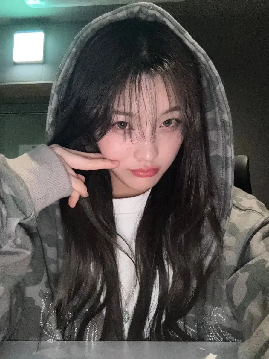 エル LSTUDDED ZIP-UP HOODIE カモ フードジップアップ