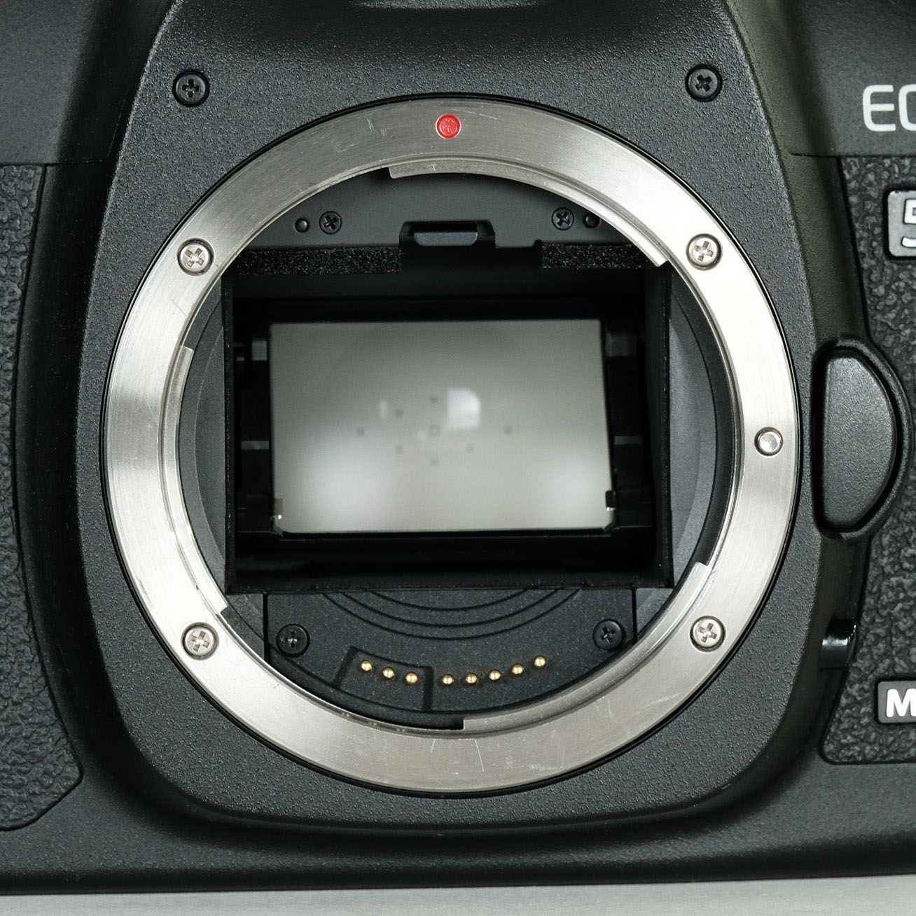 デジタル一眼レフ