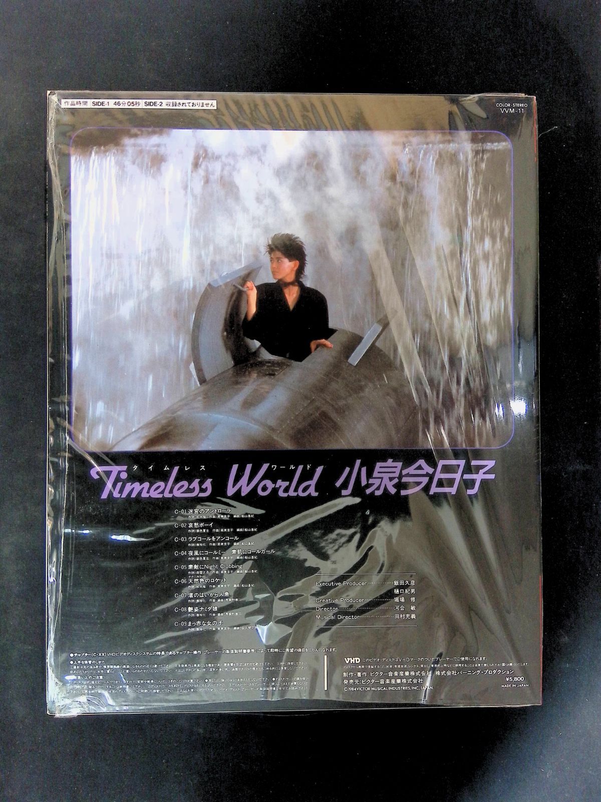 VHD ビデオディスク 小泉今日子 Timeless World タイムレス・ワールド