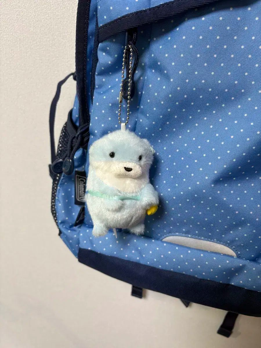 coleman コールマン スカイブルー ドット バックパック 森ガール 日本 ヴィンテージ